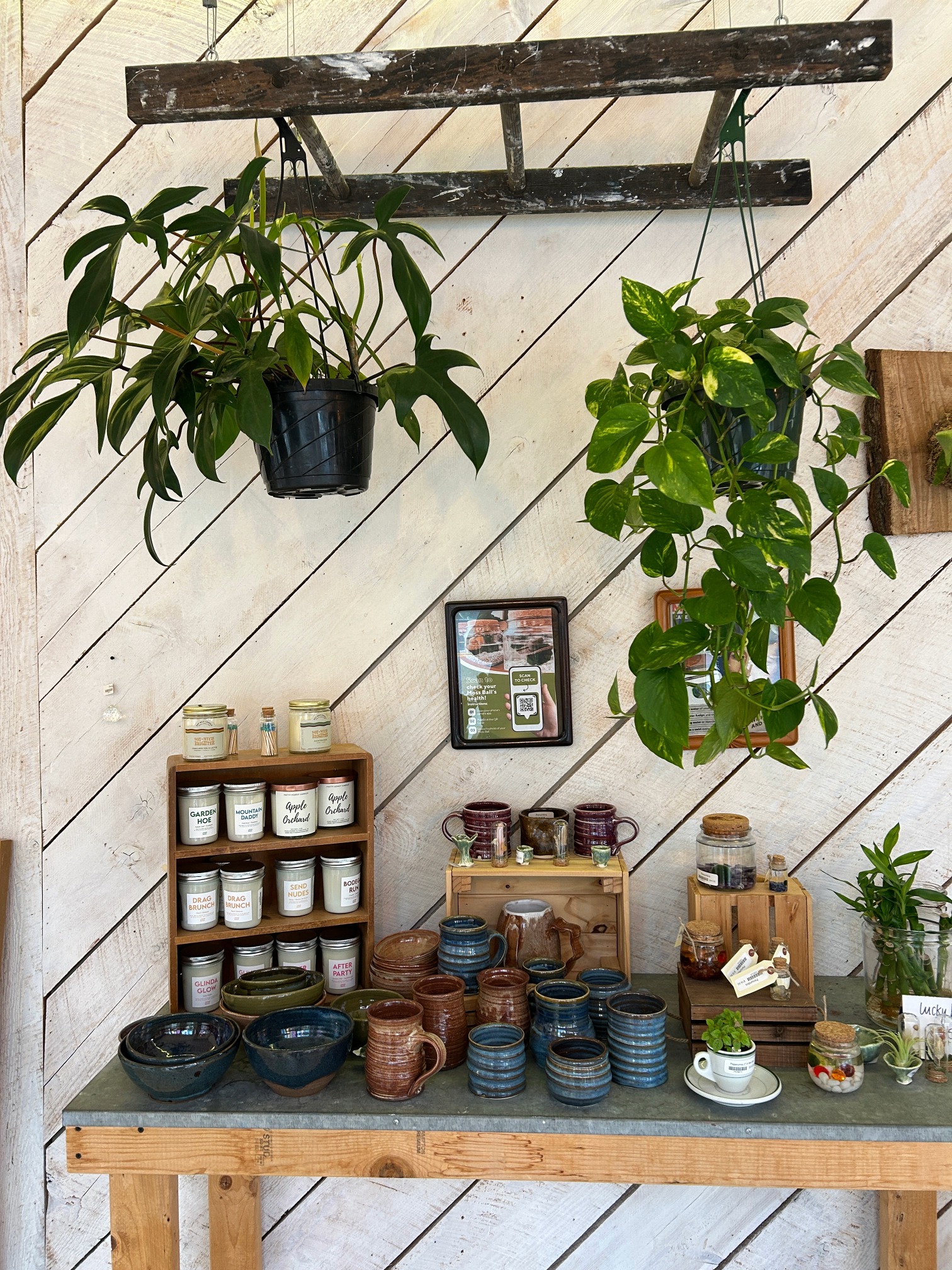 Interior of Penumbra with a wall display.